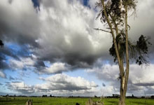 开运体育官网app-法兰克福主场三连胜，稳步向上冲击德甲前列位置，法兰克福对