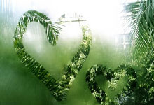 开运体育官网app-法兰克福主场三连胜，稳步向上冲击德甲前列位置，法兰克福对