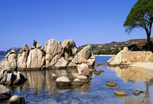 开运体育官网app-法兰克福主场三连胜，稳步向上冲击德甲前列位置，法兰克福对